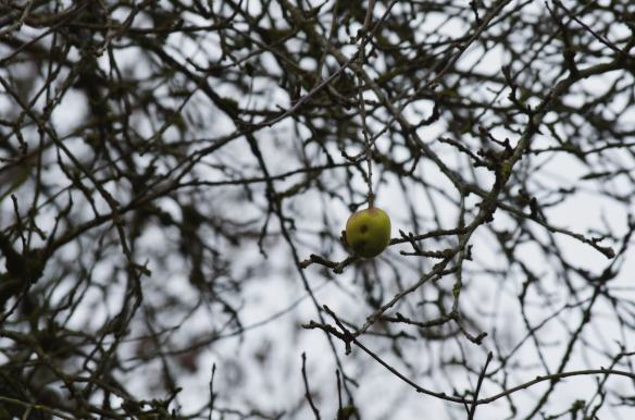 "Survivre", Tania pougin