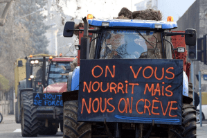 Suicides des agriculteurs