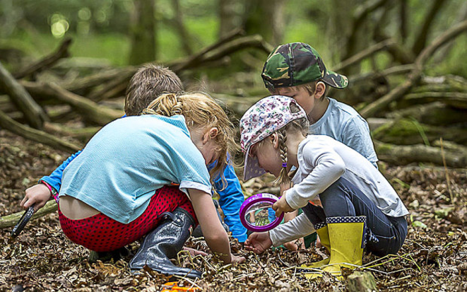 Forest School au Danemark