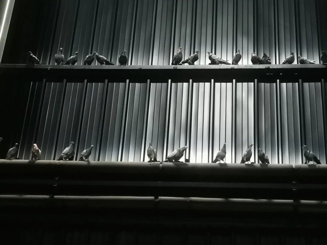 Fantoms, Maurizio Cattelan