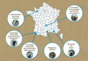 Fromages sentinelles Slow Food