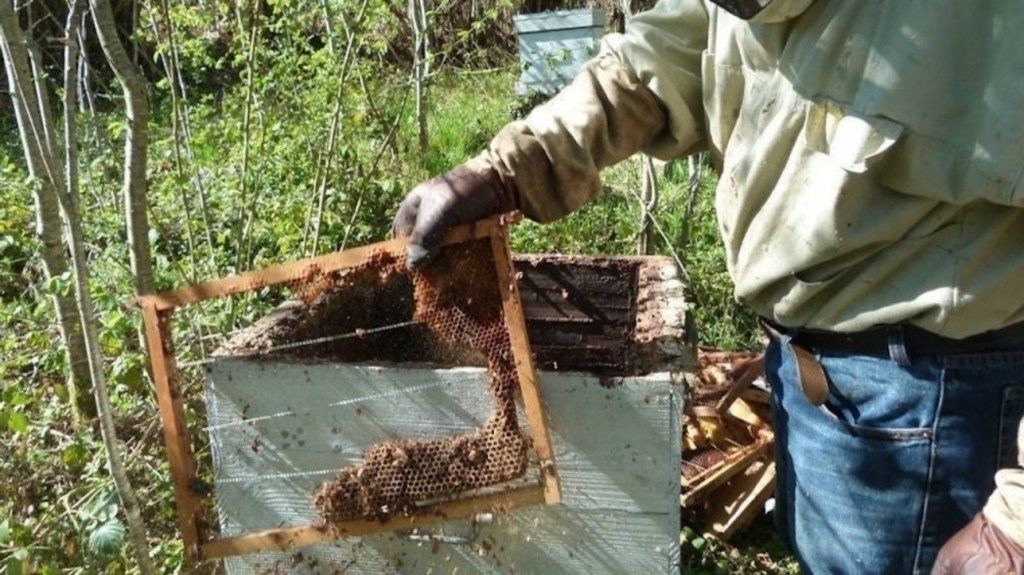 Pesticides Pesticides