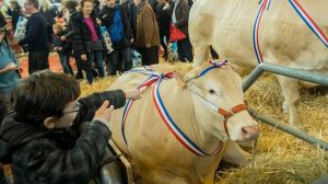 Salon de l'agriculture
