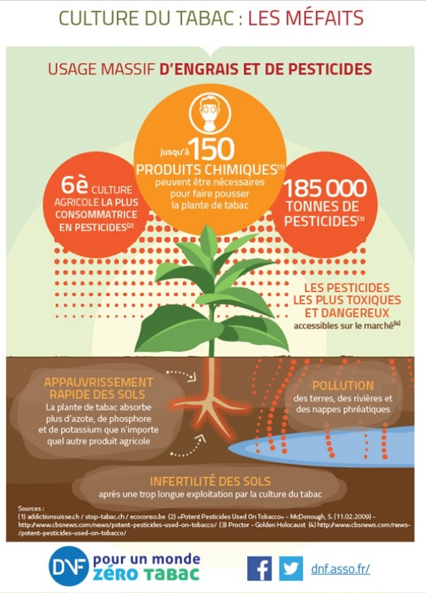 Méfaits de la culture du tabac