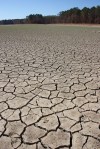 Sécheresse